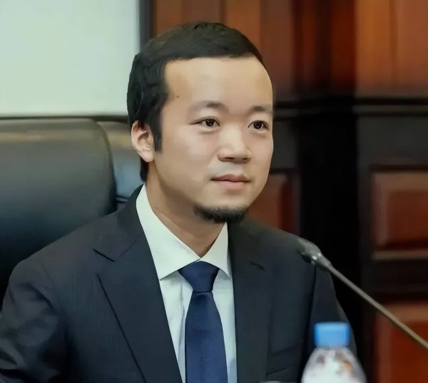 稳赢配资 太子集团陈志财产或超2000亿，多国对他动手